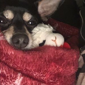 Meet your Posher, Lynn